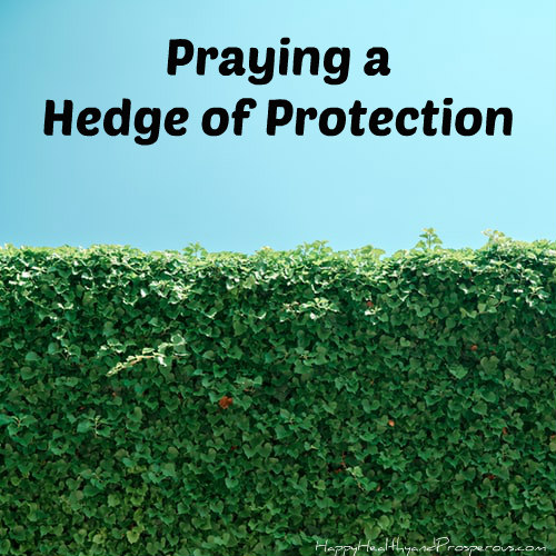 hedge of protection
