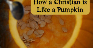 How a Christian is Like a Pumpkin title image